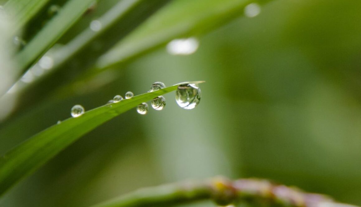 water drop pix