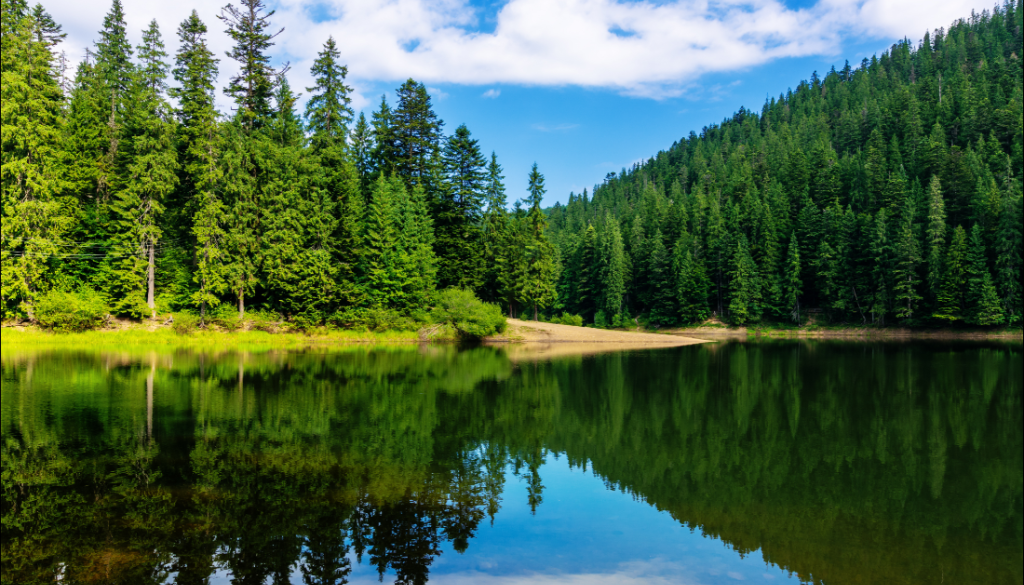 Adobe Photo_2020-03-31_15-44-41