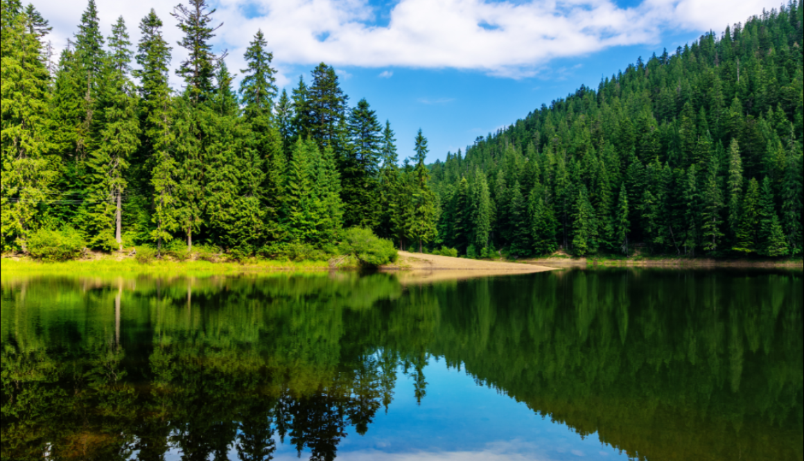 Adobe Photo_2020-03-31_15-44-41