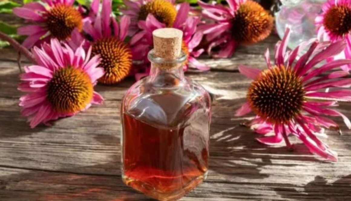 echinacea tincture