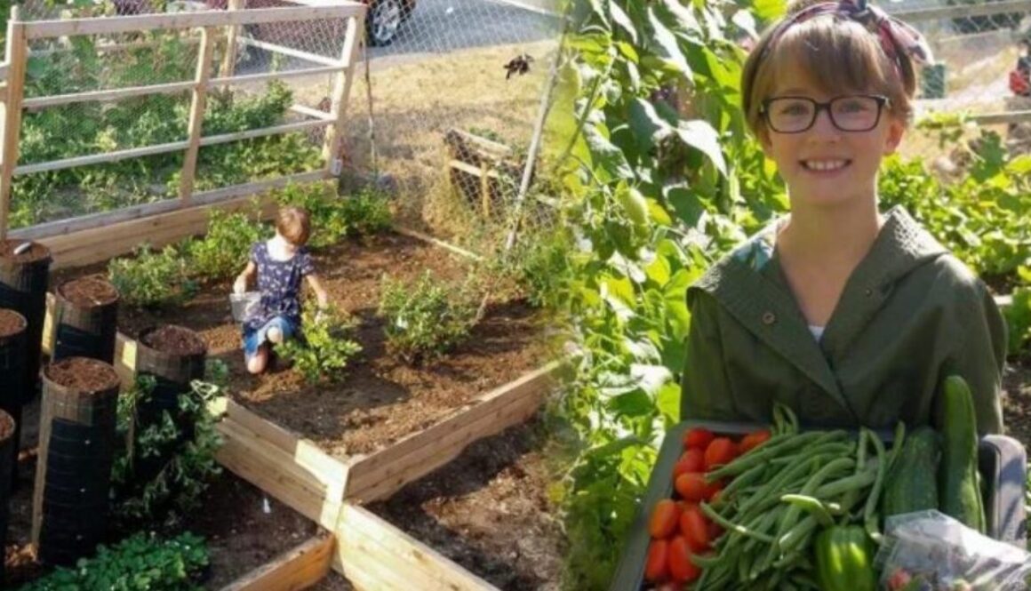 girl grows food homeless tt
