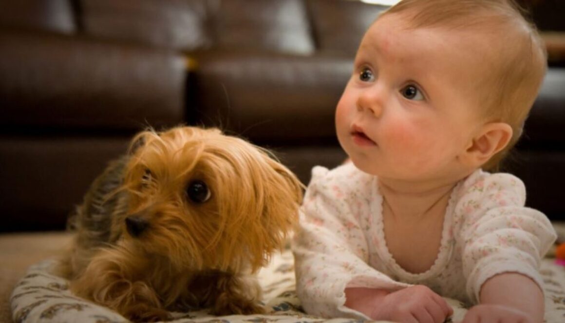kids pets TMU