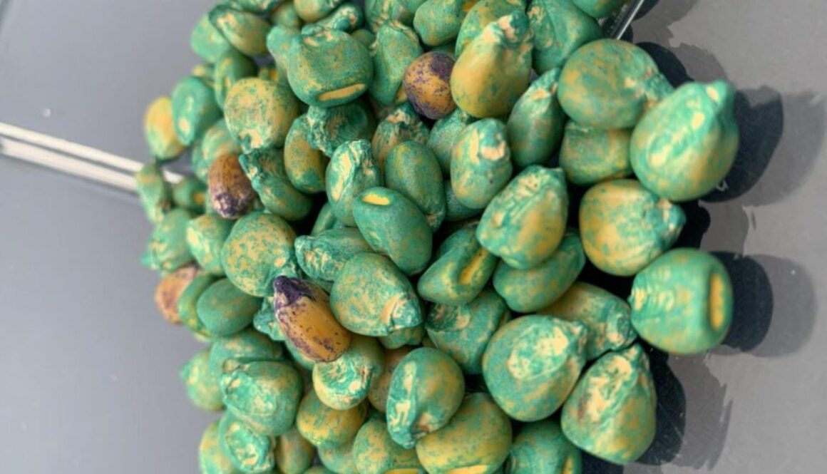 pesticide seeds