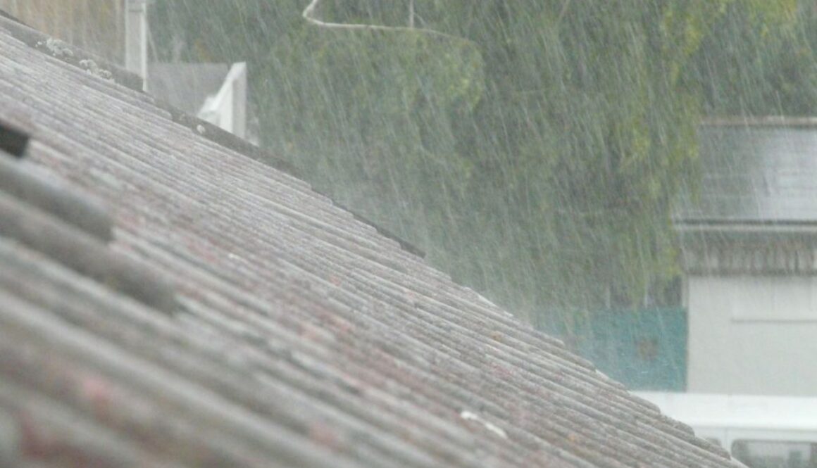 rain collection pix