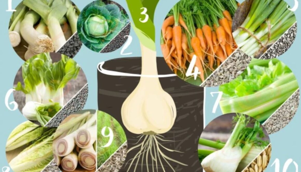 vegetables in water