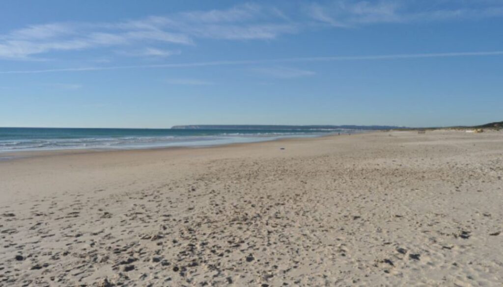bleach beach tmu