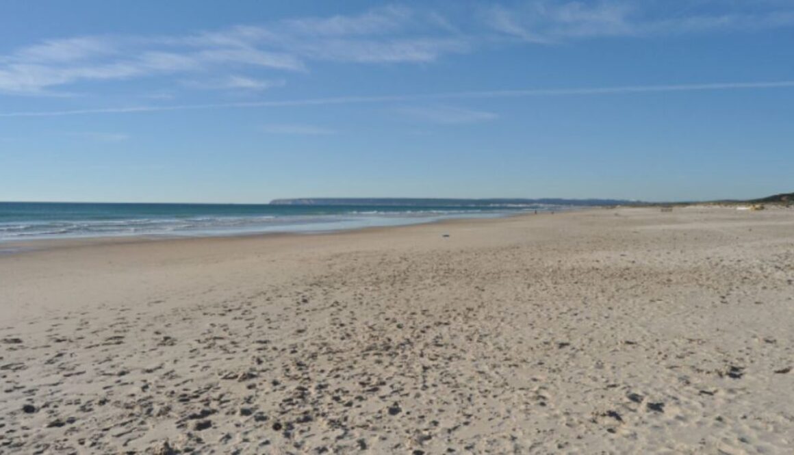 bleach beach tmu