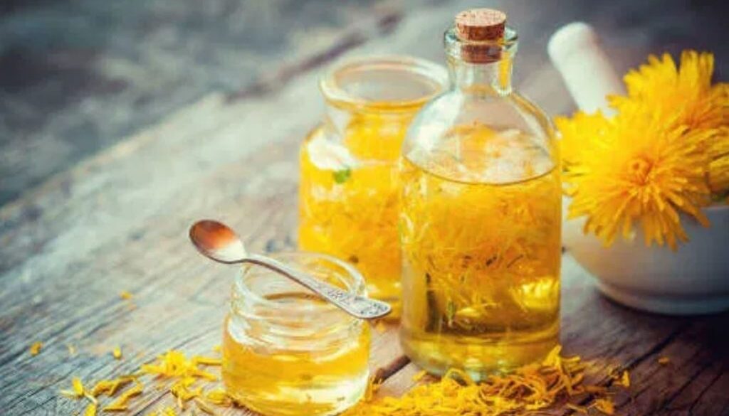dandelion oil