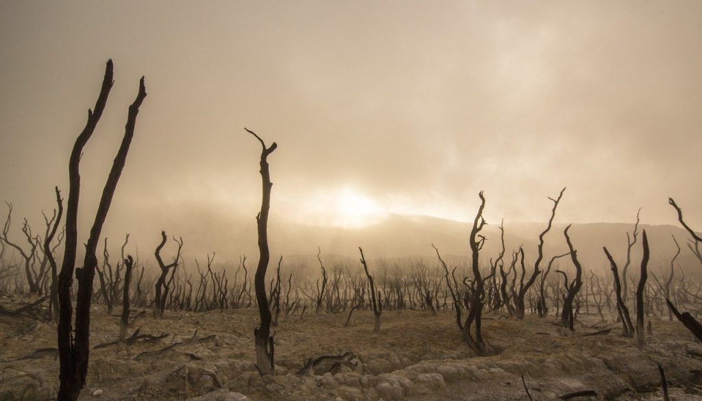 drought food shortages