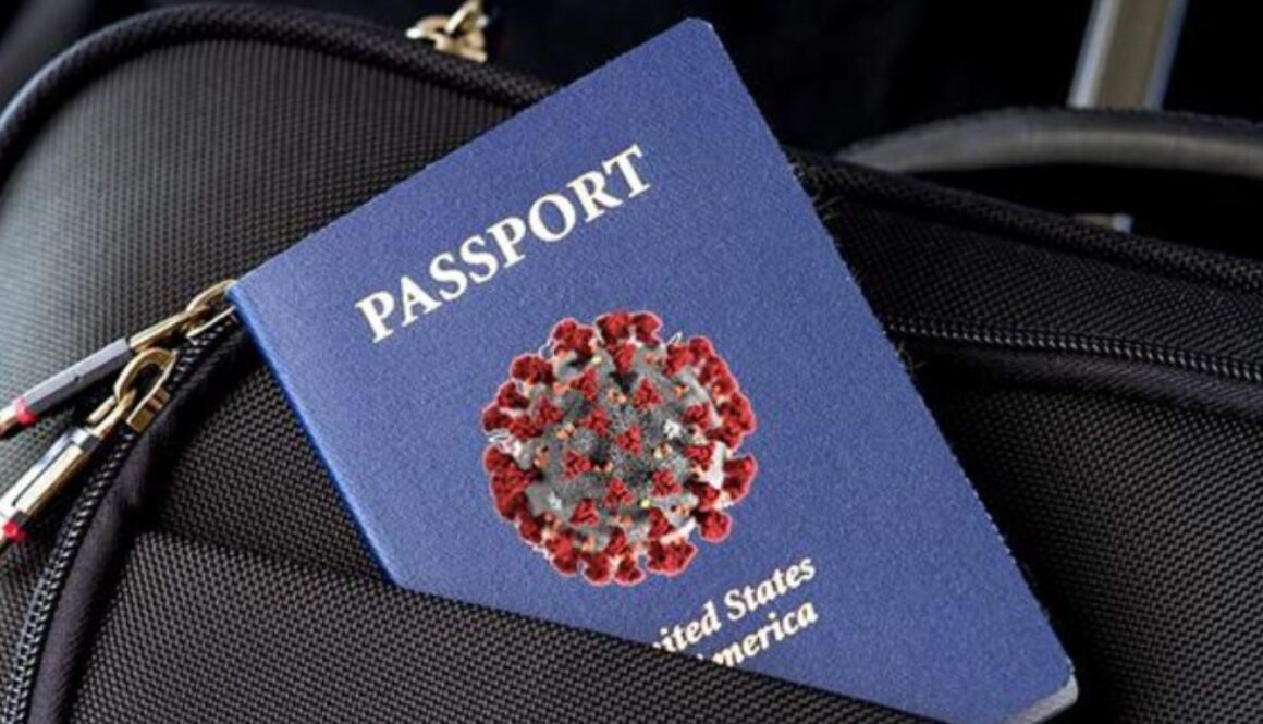 immunity passport zh