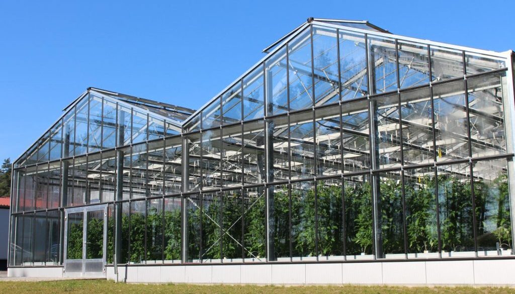 aquaponics