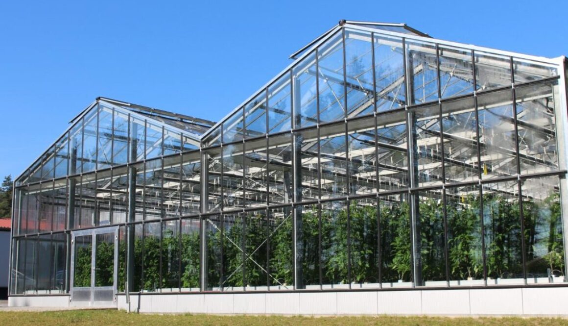 aquaponics