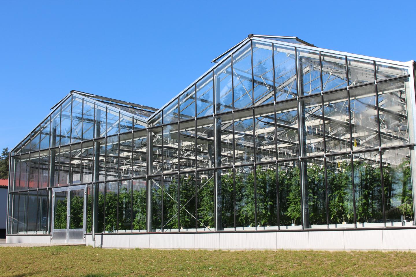 aquaponics aquaponics