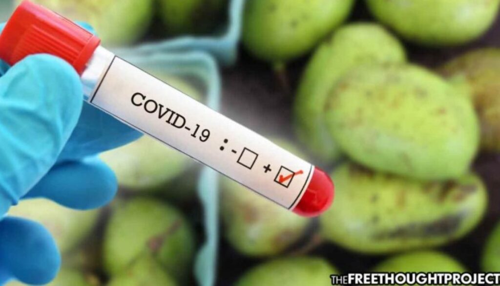 covid fruit