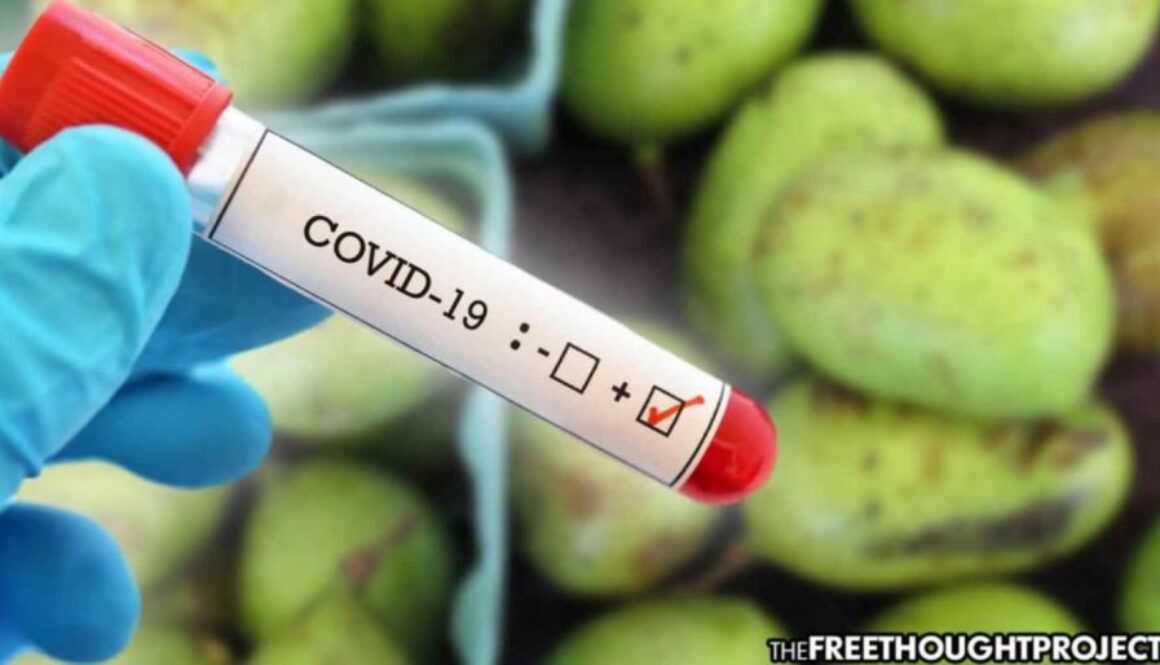 covid fruit