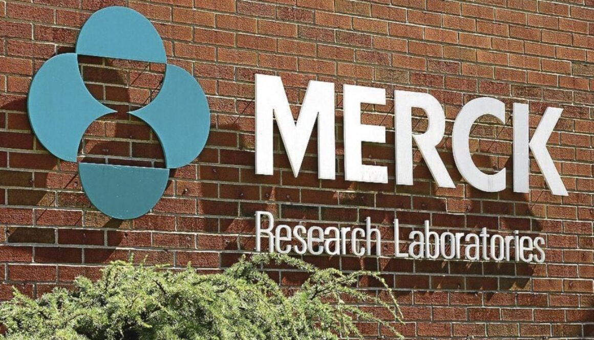 merck HIN