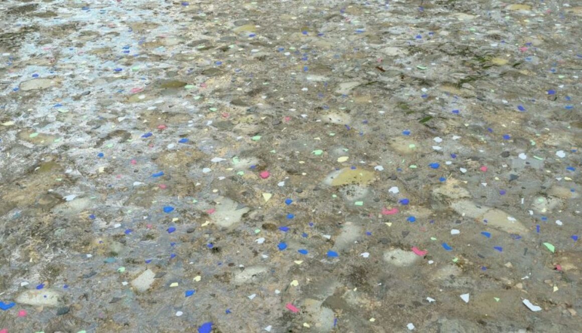 microplastics tt