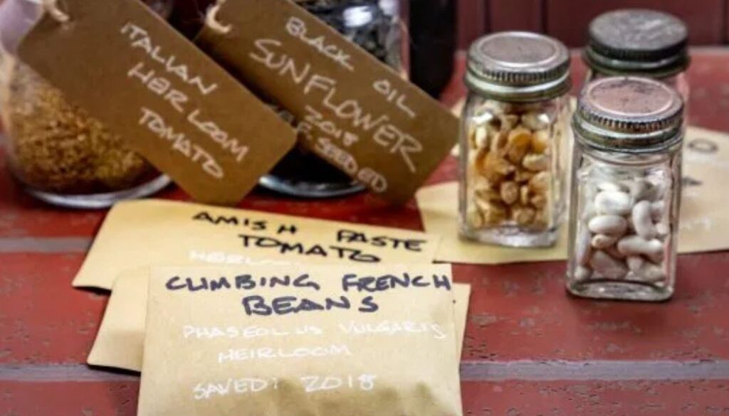 seed bank
