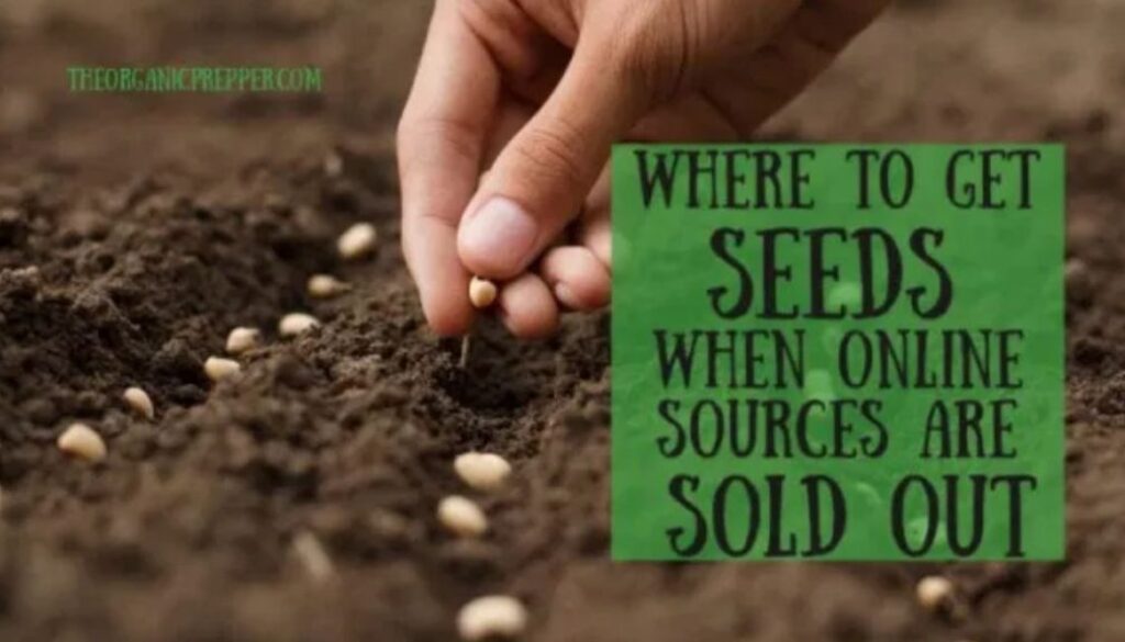 seeds sold out op