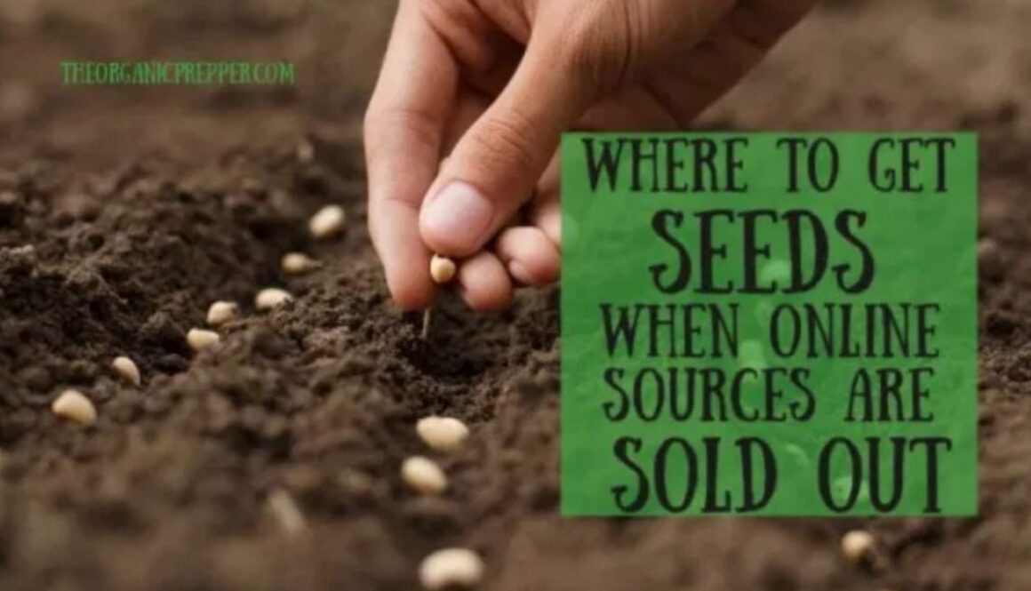 seeds sold out op
