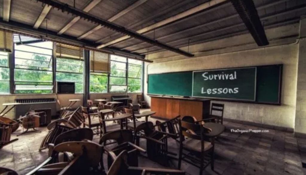 survival lessons op