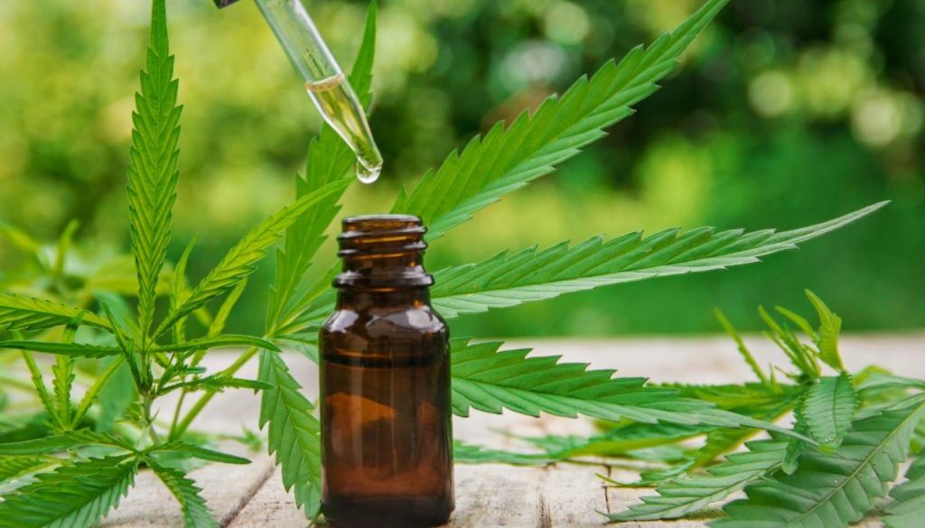 CBD cannabidiol oil