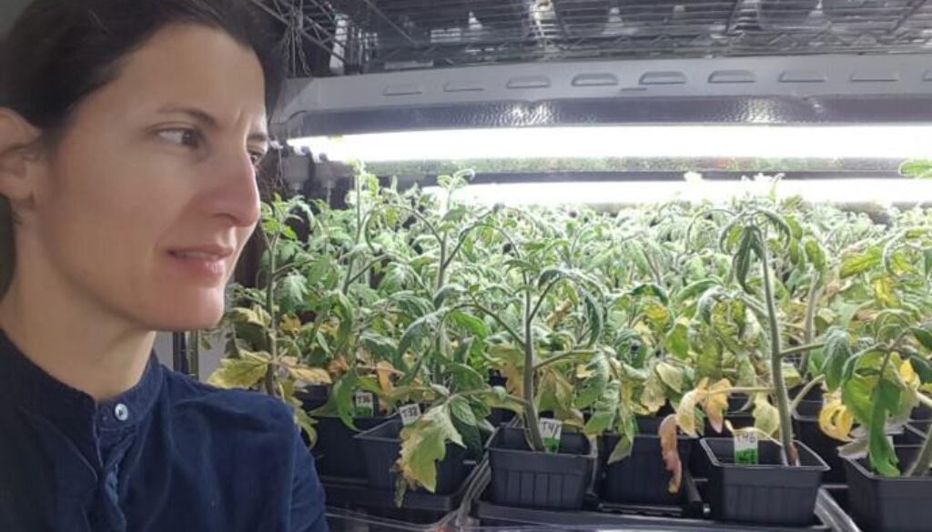 human waste to grow plants