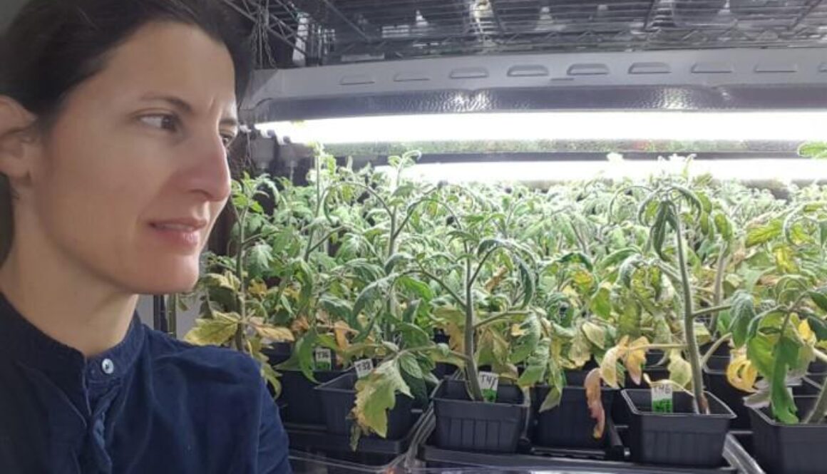 human waste to grow plants