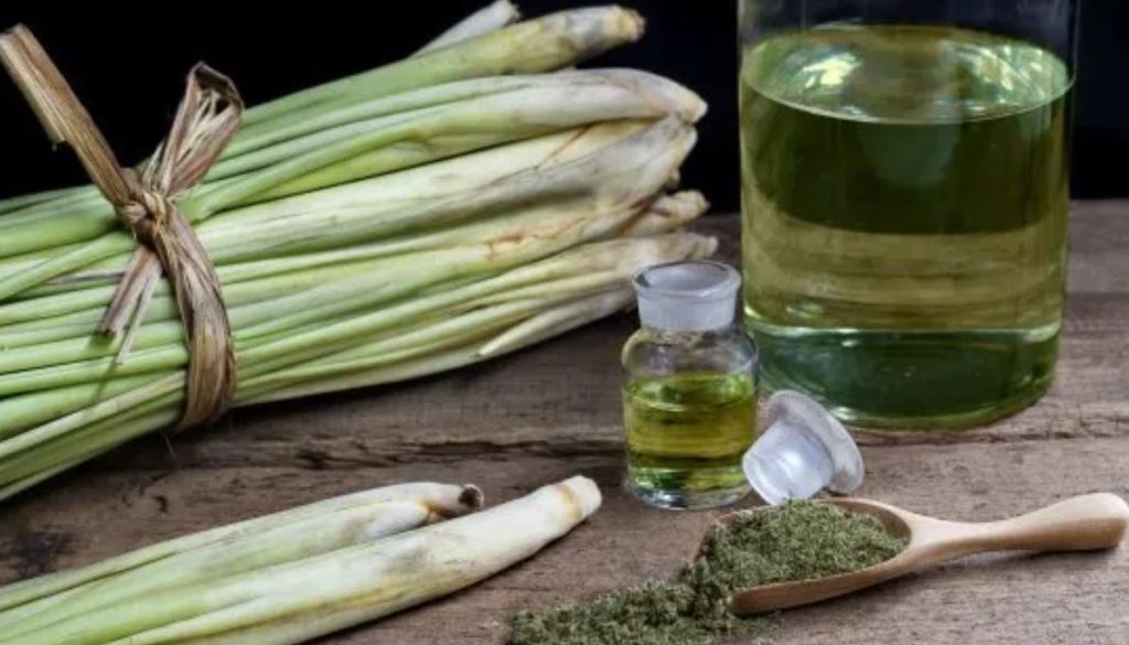 lemongrass rn
