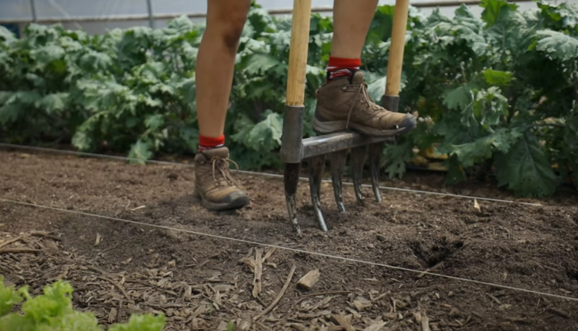 organic_gardening