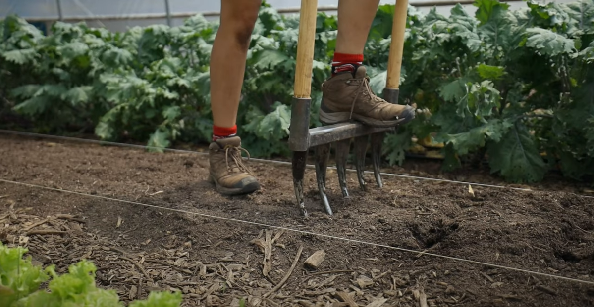organic_gardening organic_gardening