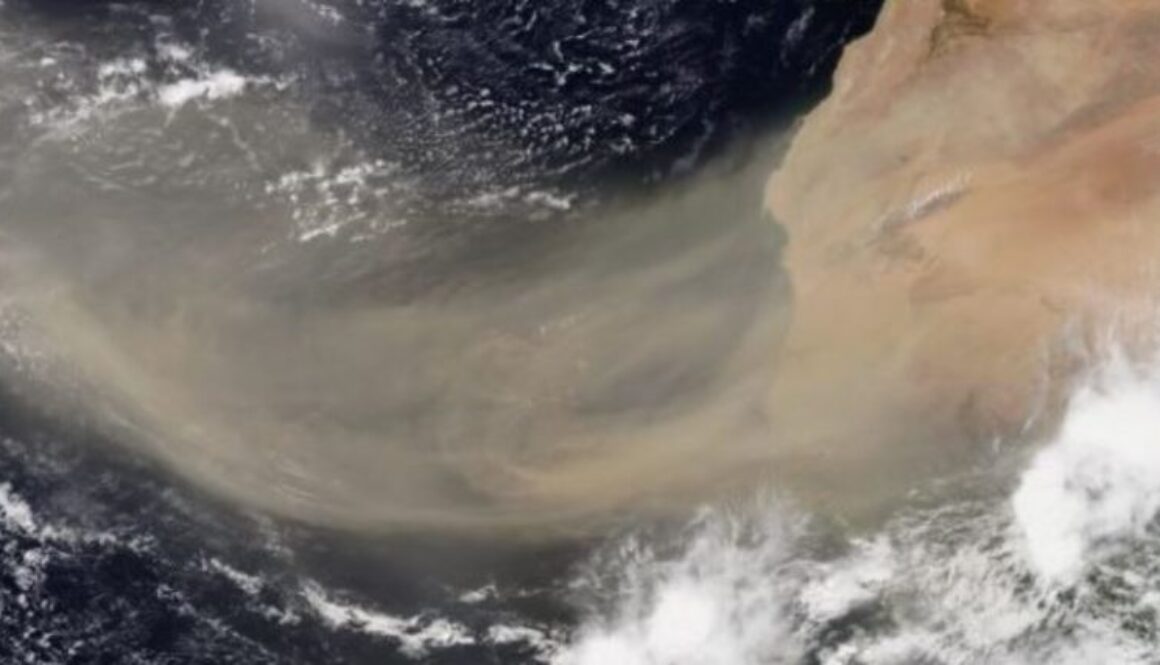saharra dust