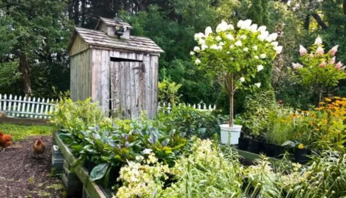 small homestead