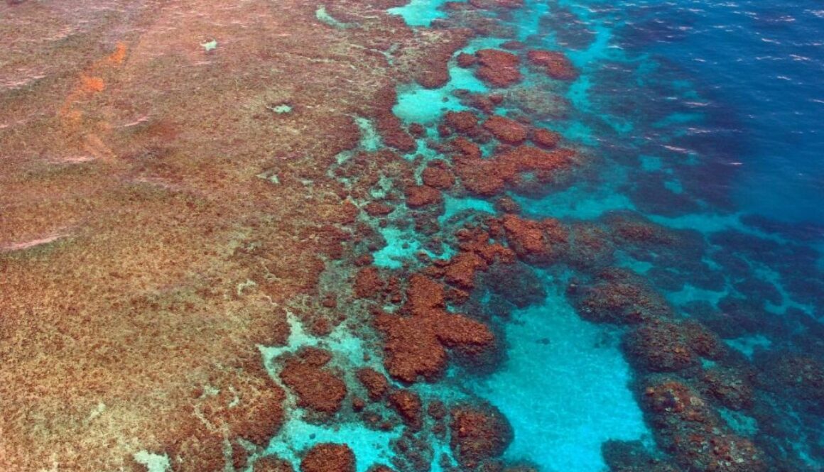 Great Barrier Reef
