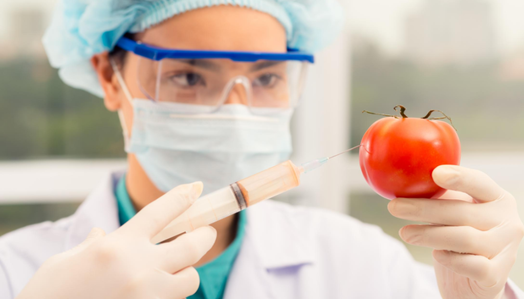 gmo vaccine tomato