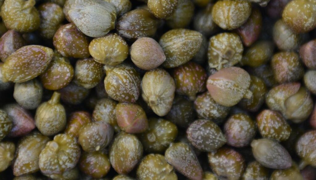 health benefits of capers