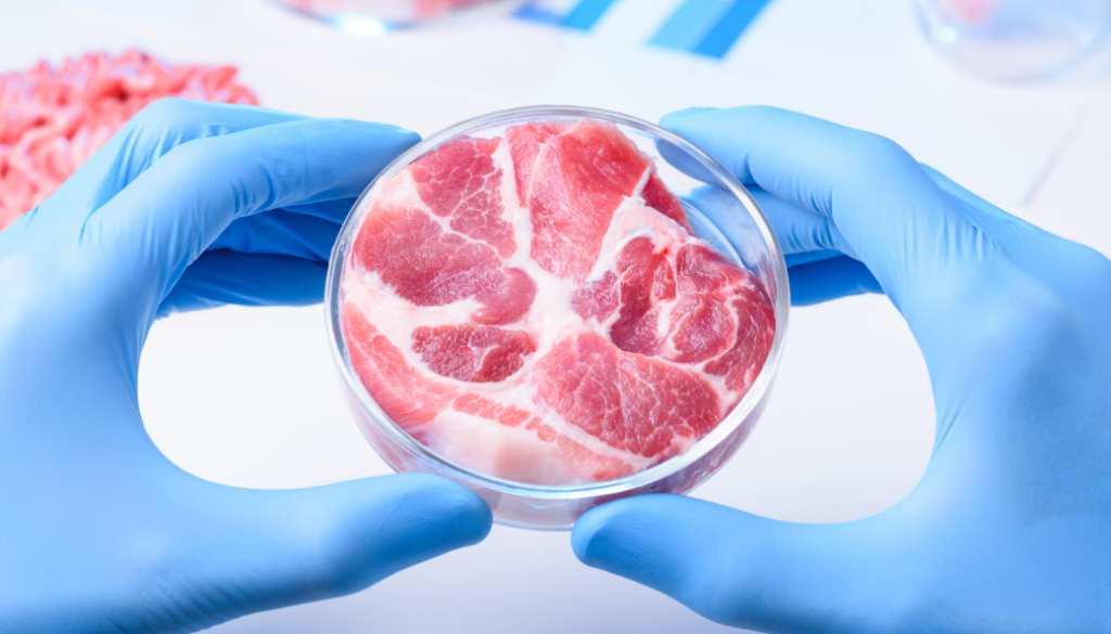 lab grown fake meat