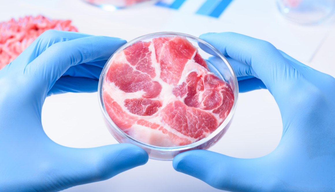 lab grown fake meat