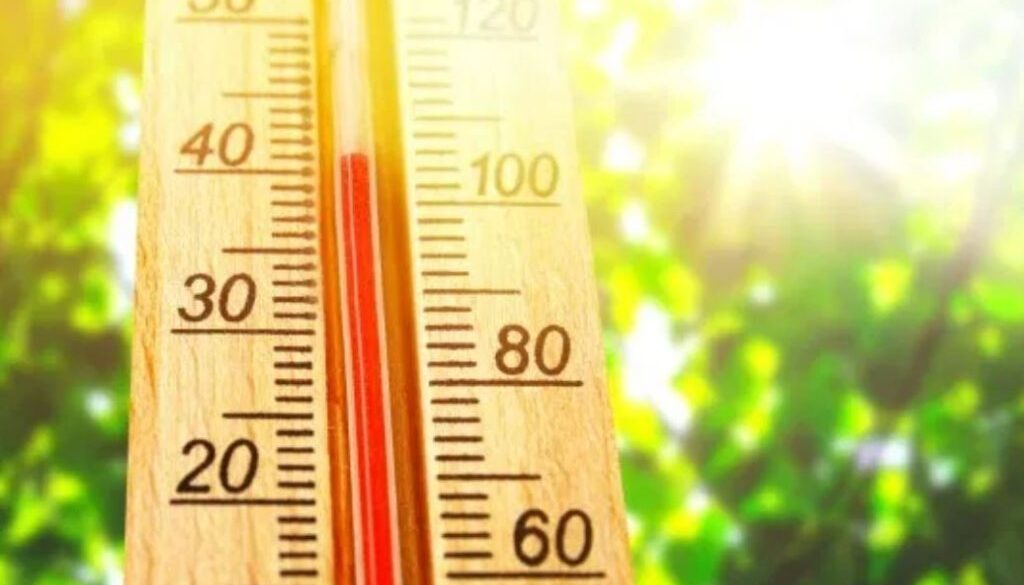 temp rn