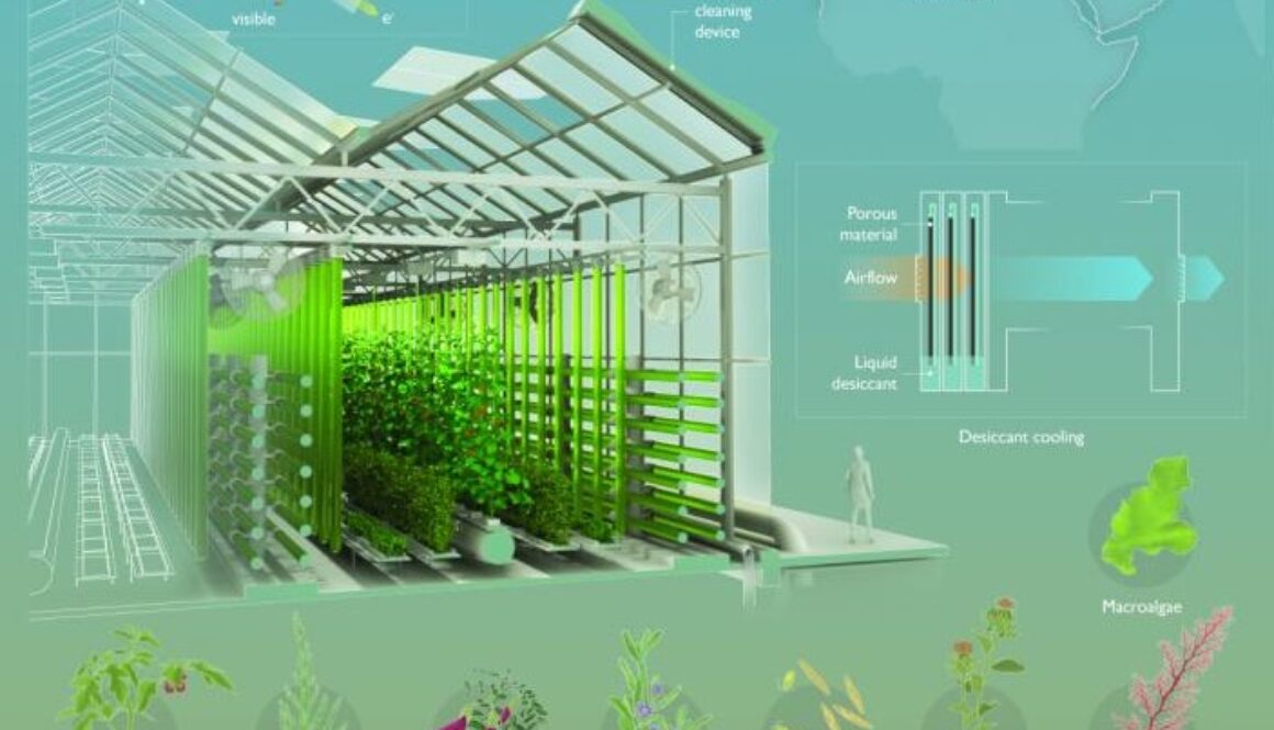 desert greenhouse
