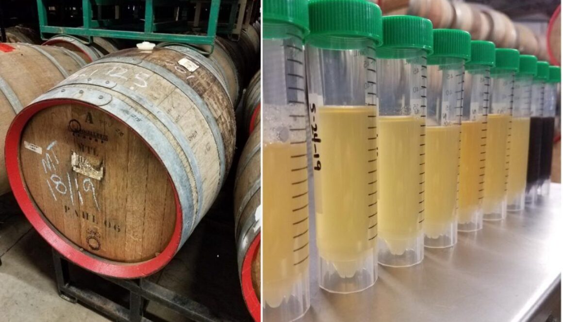 how sour beer is made