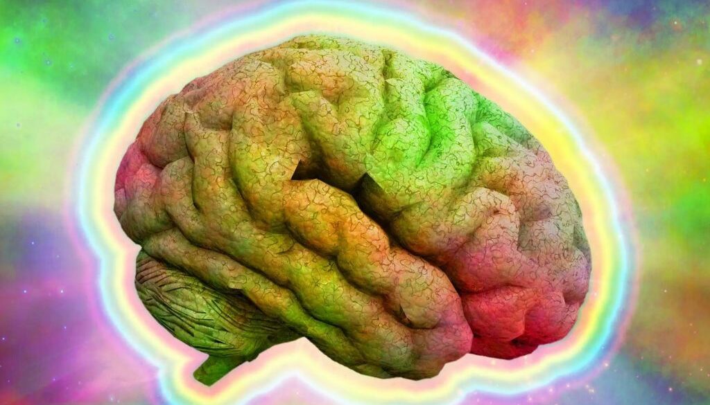 lsd pain tt