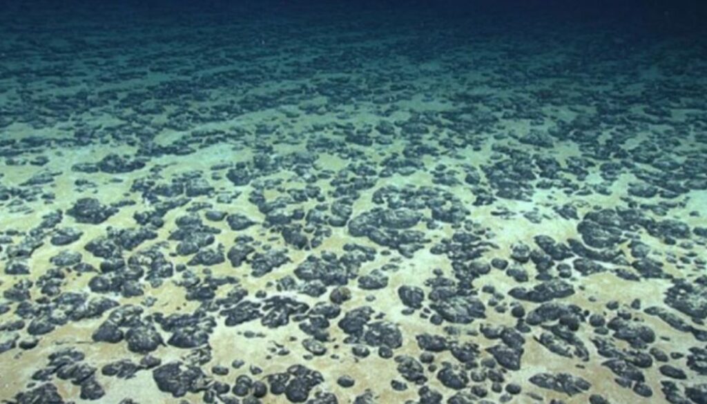 sea floor tmu
