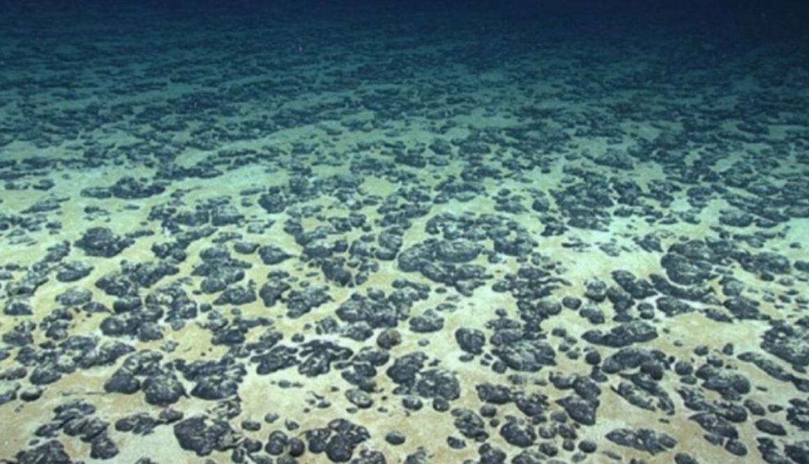 sea floor tmu