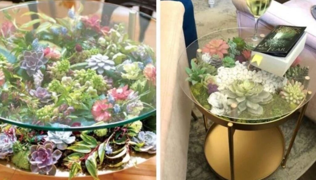 succulent table tmu