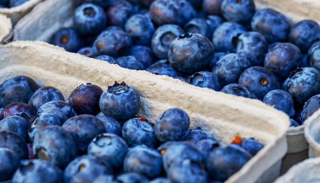 blueberries