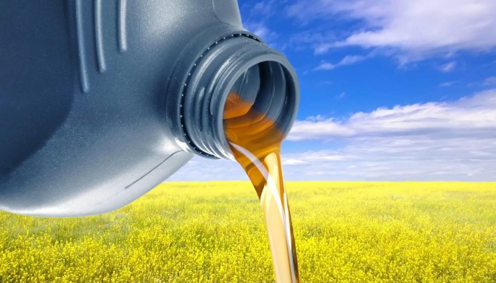 canola oil tt