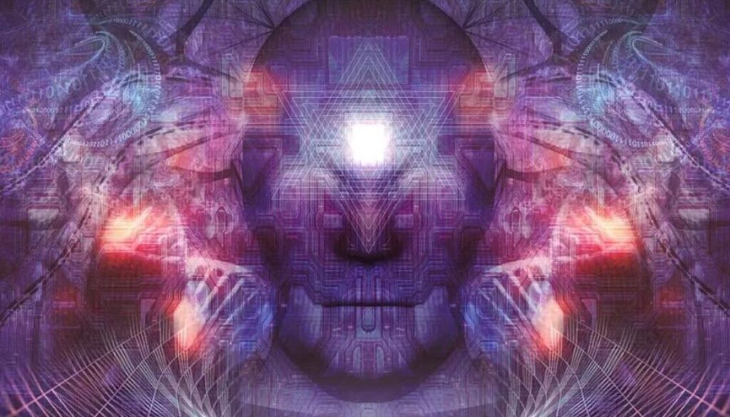 dmt tt