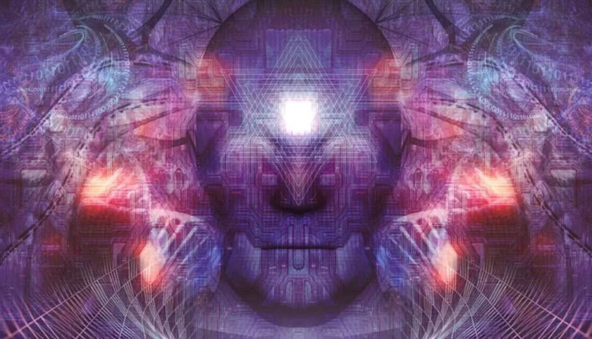 dmt tt