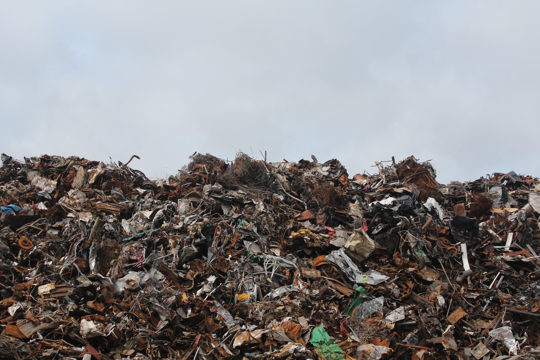 foodwaste foodwaste